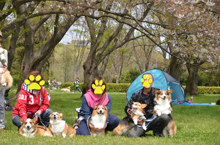 DSC_7255_edited-1