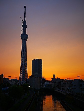 夕焼け