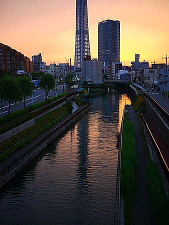 逆さスカイツリー
