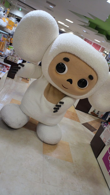 テブラーシカ じゃなくてチェブラーシカ 白チェブ 白チェブ 写真共有サイト フォト蔵