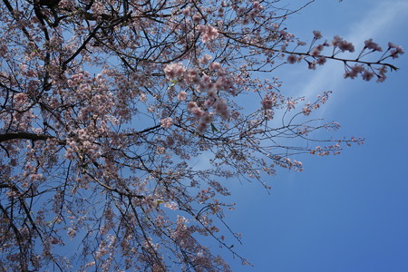 DSC02596