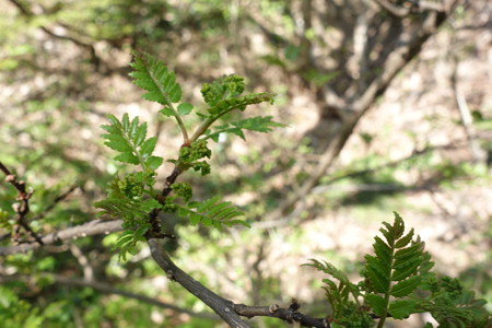 DSC02740