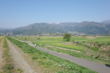DSC02935