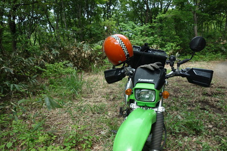 DSC03370