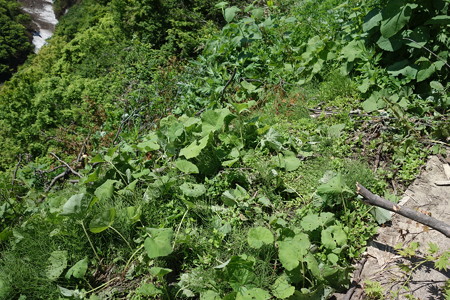 DSC03461
