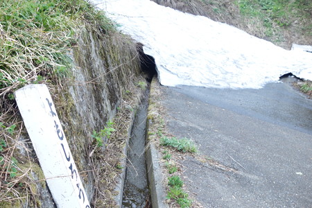 DSC03708
