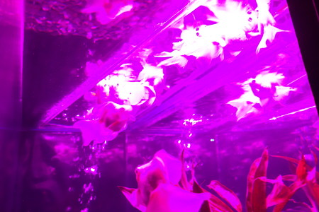 DSC03805