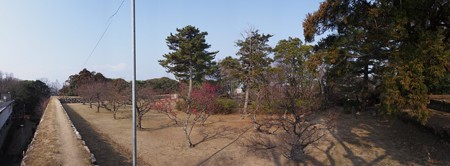 matusakajousi_p06