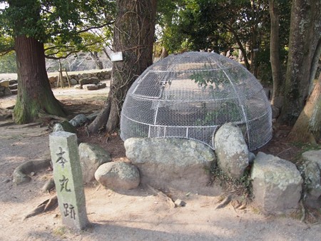 matusakajousi29