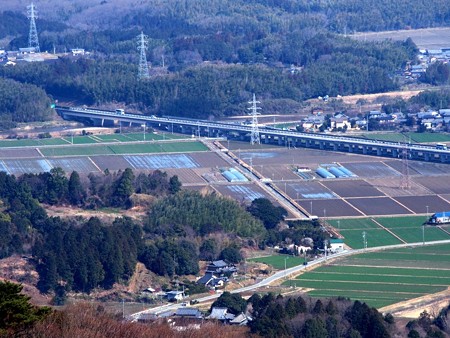 hakumaijousi41