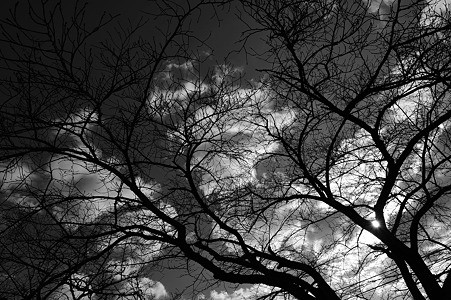 DSC_1207m