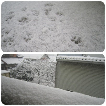 20120202 雪1