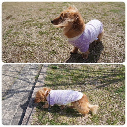 20120320 お散歩