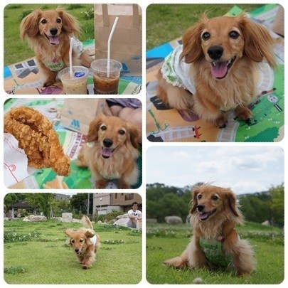 20120708 お散歩ランチ