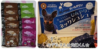 20120716 GET!!(2)
