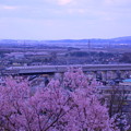 北陸新幹線「かがやき」 春を連れてやってきた！(1)