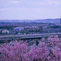 北陸新幹線「かがやき」 春を連れてやってきた！(2)