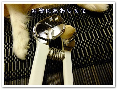 溝にはめる