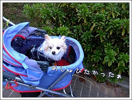 遊びたかった