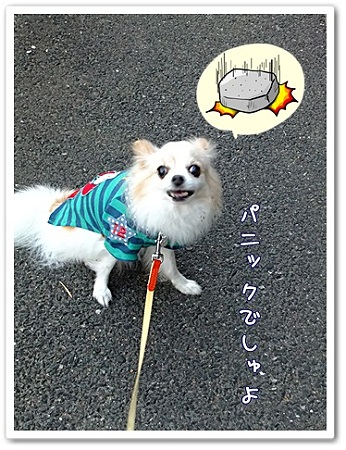 パニック