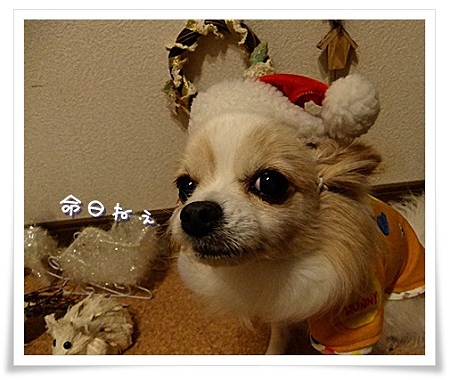 命日