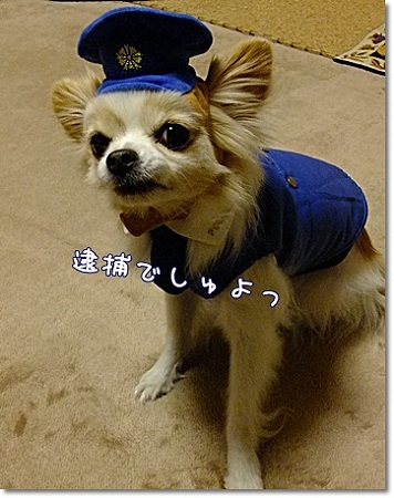 逮捕