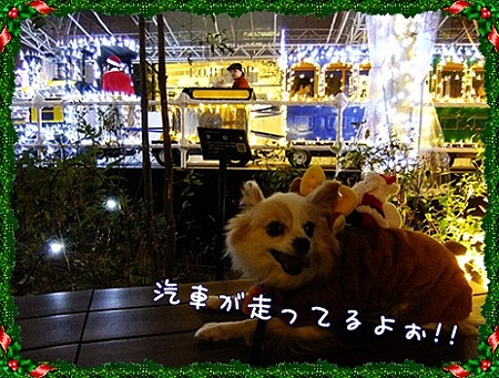 汽車だ