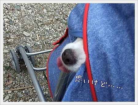 恐いけど