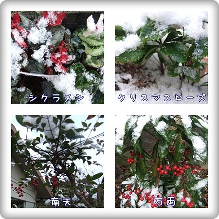 雪の帽子