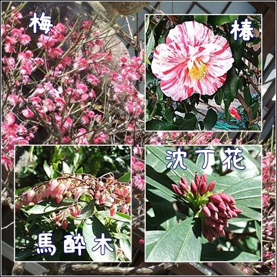 春近し