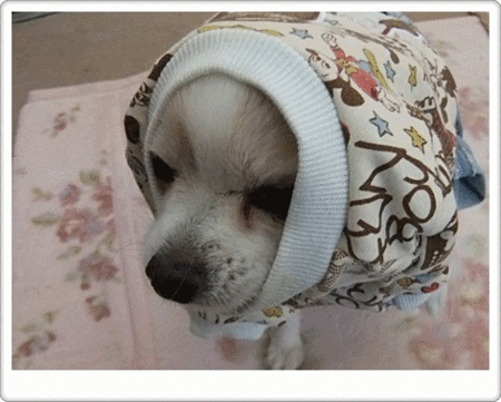 出来たぁ