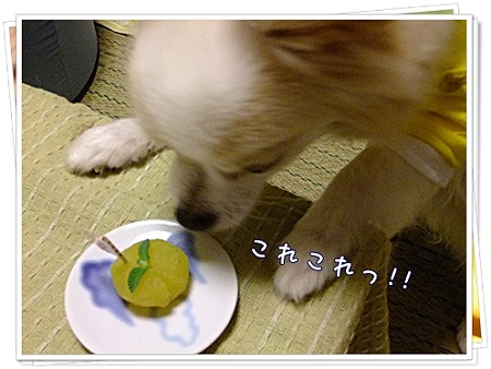 これこれ