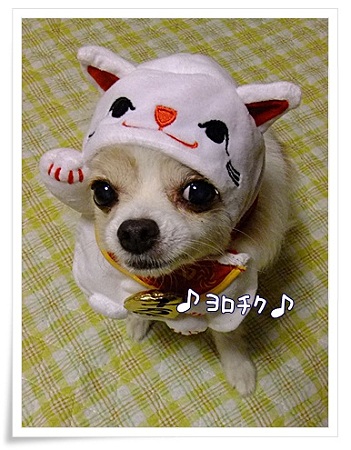 よろしくね