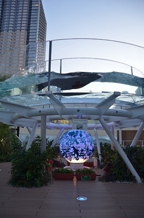 空中水族館