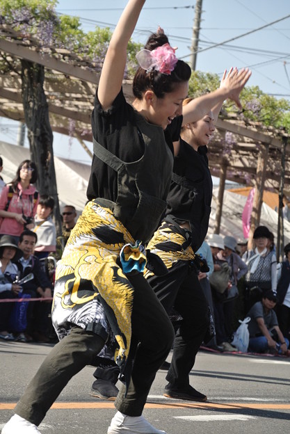 20150426_461