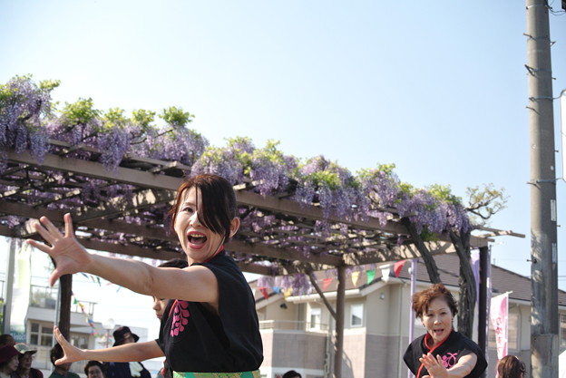 20150426_489