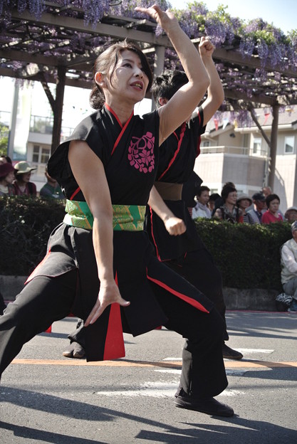 20150426_491