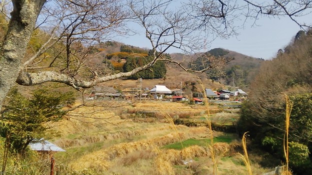 小野豆集落と棚田