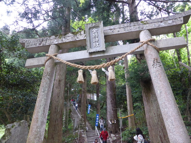 金持神社