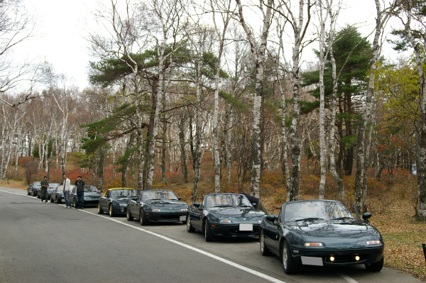 綺麗な白樺の前で小休止