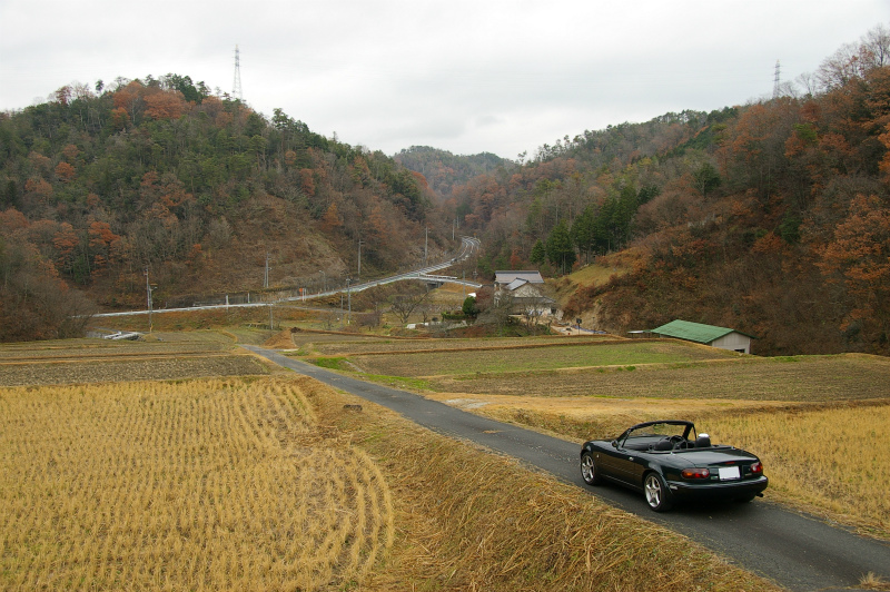 広い斜面に広がる田畑と一本道
