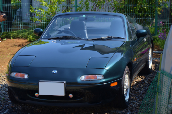土埃りで汚れたまま出かけようとしたが軽く洗車しました