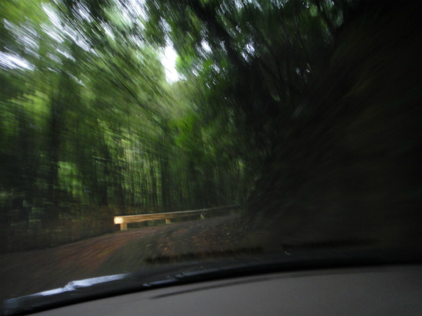 思いのほか細い道