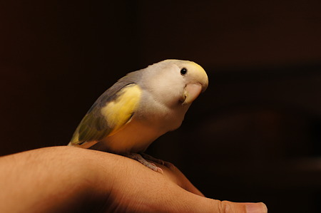 DSC05048