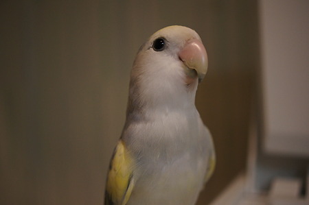 DSC09837