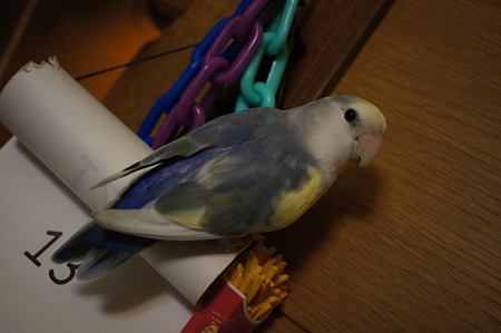 DSC00100