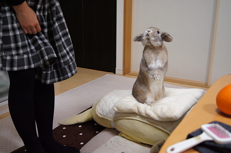 アゴ4