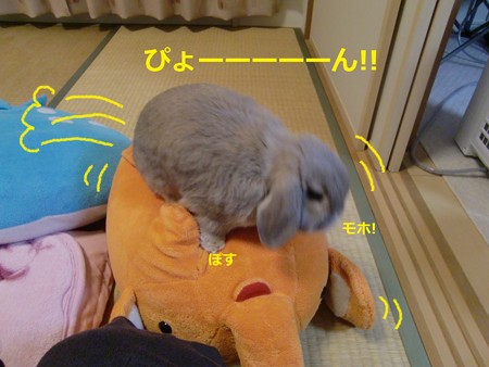 乗る3