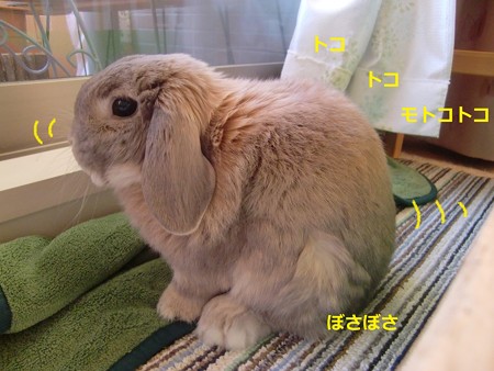 朝1