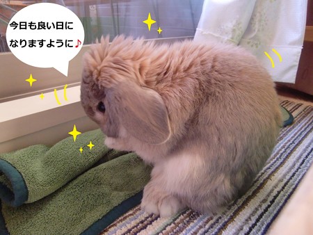朝7